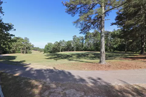 125 W Devonshire Ave, West End, NC 27376 photo 56