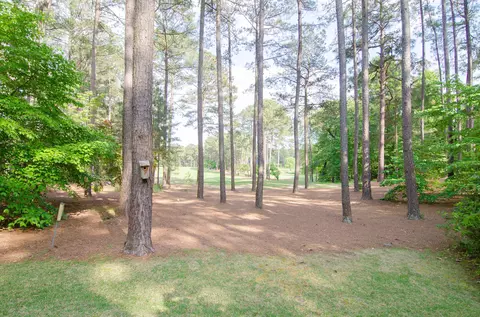 10 Halkirk Dr, Pinehurst, NC 28374 photo 57