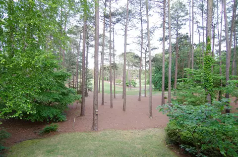 10 Halkirk Dr, Pinehurst, NC 28374 photo 20