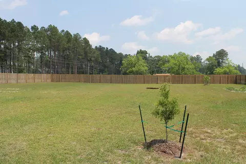 585 W Denny Ave, Pinebluff, NC 28373 photo 31
