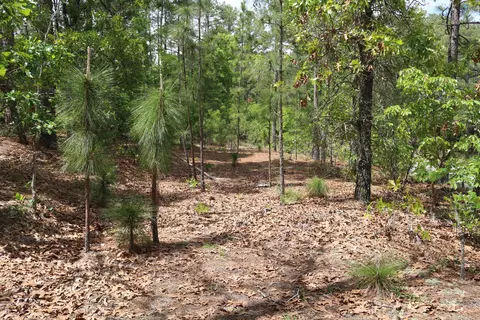 30 S Shamrock Dr, Foxfire, NC 27281 photo 13