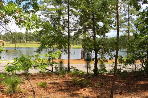 30 S Shamrock Dr, Foxfire, NC 27281 photo 5