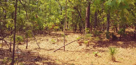 30 S Shamrock Dr, Foxfire, NC 27281 photo 7