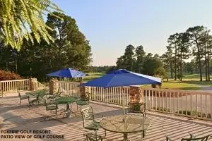 30 S Shamrock Dr, Foxfire, NC 27281 photo 27