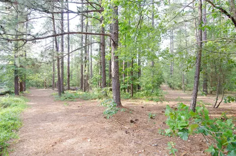 14 Kincraig Ct, Pinehurst, NC 28374 photo 8
