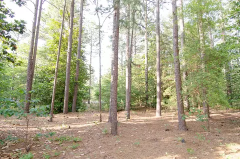 14 Kincraig Ct, Pinehurst, NC 28374 photo 23