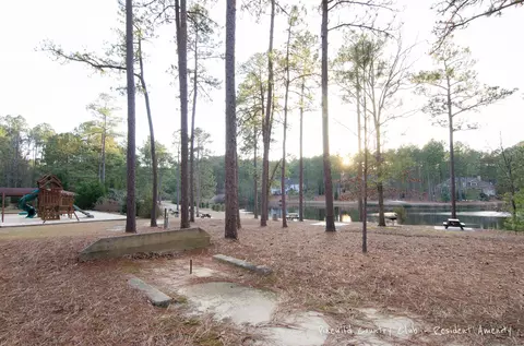 14 Kincraig Ct, Pinehurst, NC 28374 photo 34