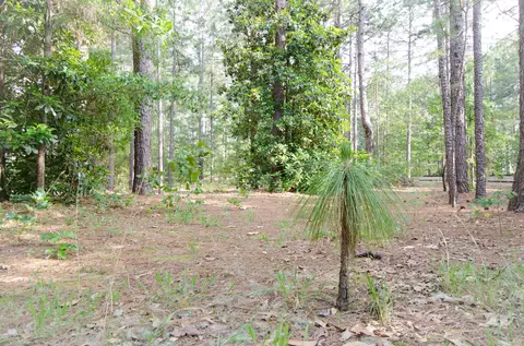 14 Kincraig Ct, Pinehurst, NC 28374 photo 4