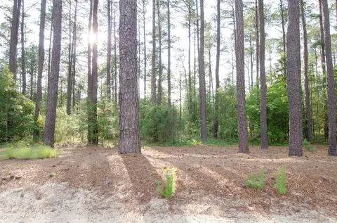14 Kincraig Ct, Pinehurst, NC 28374 photo 20