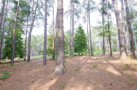 14 Kincraig Ct, Pinehurst, NC 28374 photo 9