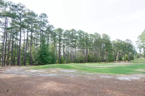 14 Kincraig Ct, Pinehurst, NC 28374 photo 12