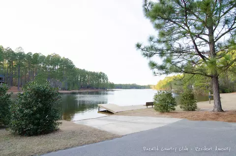 14 Kincraig Ct, Pinehurst, NC 28374 photo 27