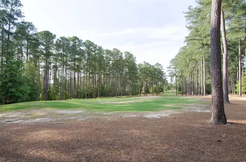 14 Kincraig Ct, Pinehurst, NC 28374 photo 10