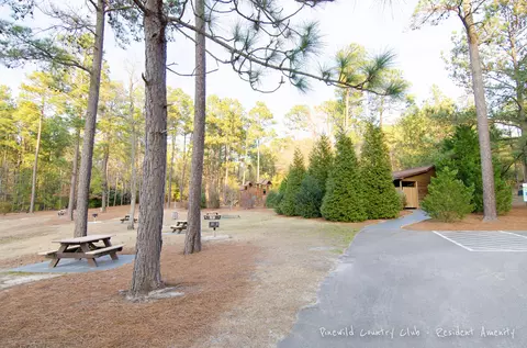 14 Kincraig Ct, Pinehurst, NC 28374 photo 30