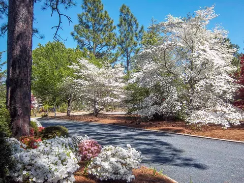 9 Raleigh Dr, Pinehurst, NC 28374 photo 36