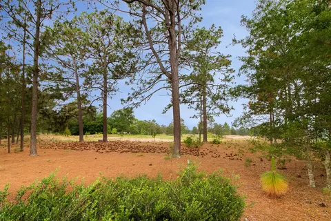 9 Raleigh Dr, Pinehurst, NC 28374 photo 31