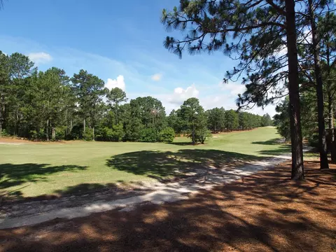 260 Longleaf Dr, West End, NC 27376 photo 33