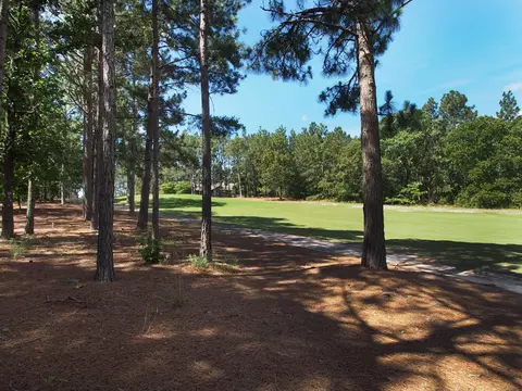 260 Longleaf Dr, West End, NC 27376 photo 32