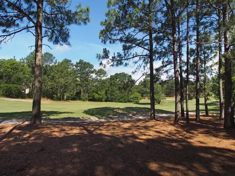 260 Longleaf Dr, West End, NC 27376 photo 34