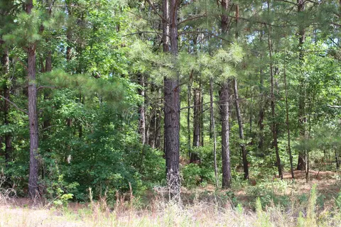 873 Thrush Dr, Vass, NC 28394 photo 2