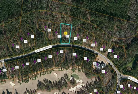 29 Middlebury Rd, Pinehurst, NC 28374 photo 6