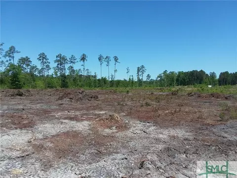 720 Race Path Rd, Rincon, GA 31326 photo 3