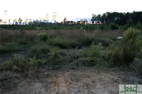 720 Race Path Rd, Rincon, GA 31326 photo 27