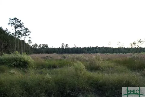 720 Race Path Rd, Rincon, GA 31326 photo 15