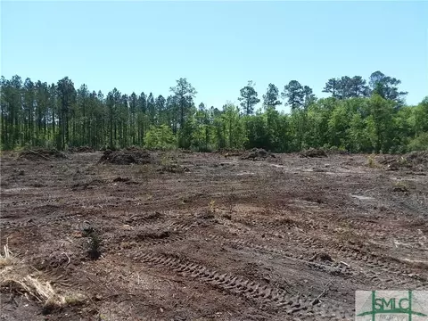 720 Race Path Rd, Rincon, GA 31326 photo 2