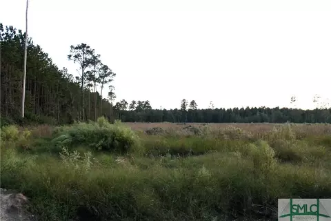 720 Race Path Rd, Rincon, GA 31326 photo 14