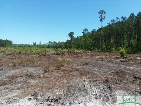 720 Race Path Rd, Rincon, GA 31326 photo 1