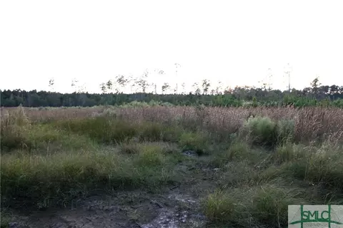 720 Race Path Rd, Rincon, GA 31326 photo 16