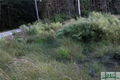720 Race Path Rd, Rincon, GA 31326 photo 23