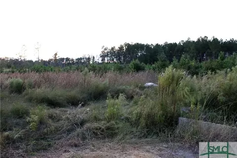 720 Race Path Rd, Rincon, GA 31326 photo 28