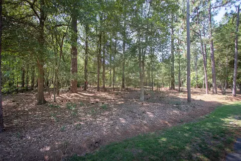 90 E Mccaskill Rd, Pinehurst, NC 28374 photo 4
