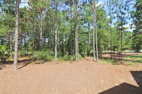 107 Juniper Creek Blvd, Pinehurst, NC 28374 photo 27