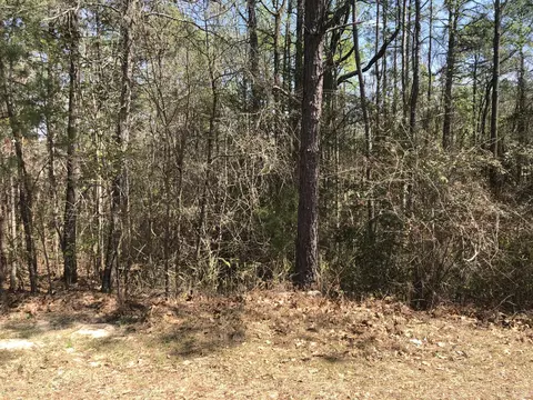 395 Adams Cir, Pinehurst, NC 28374 photo 1