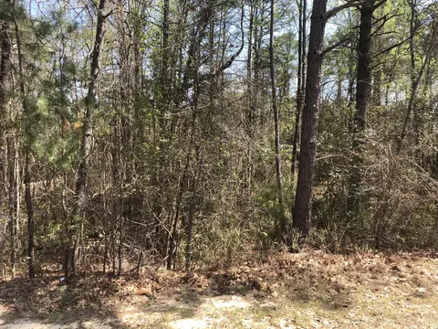395 Adams Cir, Pinehurst, NC 28374 photo 2