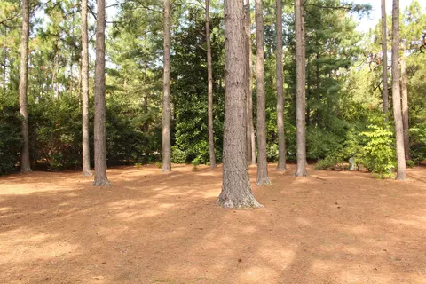 575 Pinehurst Trace Dr, Pinehurst, NC 28374 photo 22