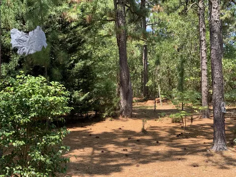236 Firetree Ln, West End, NC 27376 photo 24