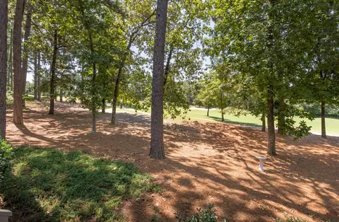 80 Pomeroy Dr, Pinehurst, NC 28374 photo 46