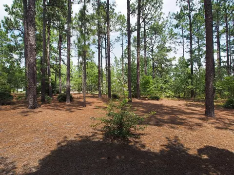 1205 Morganton Rd, Pinehurst, NC 28374 photo 31
