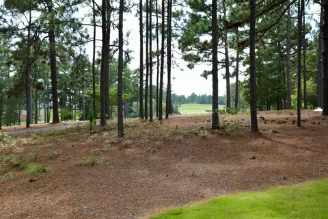 17 Cherry Hill Pl, Pinehurst, NC 28374 photo 51