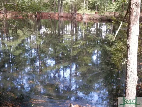 179 Elbert Arnsdorff Rd, Springfield, GA 31329 photo 19