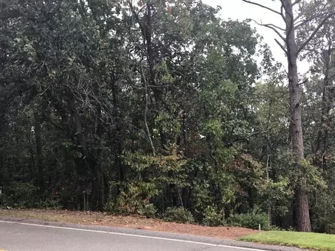 51 Deerwood Ln, Pinehurst, NC 28374 photo 3