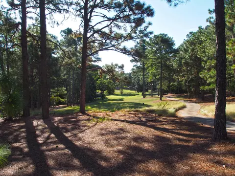 44 Pinewild Dr, Pinehurst, NC 28374 photo 41