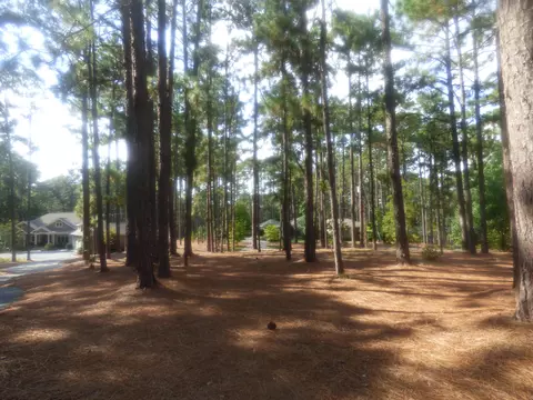 65 Ponte Vedra Dr, Pinehurst, NC 28374 photo 18