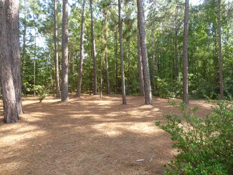 65 Ponte Vedra Dr, Pinehurst, NC 28374 photo 17