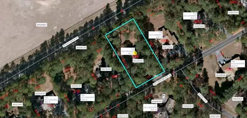156 W Devonshire Ave, West End, NC 27376 photo 30