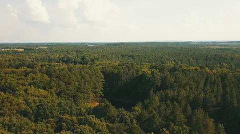 532 James H Rd, Cameron, NC 28326 photo 18